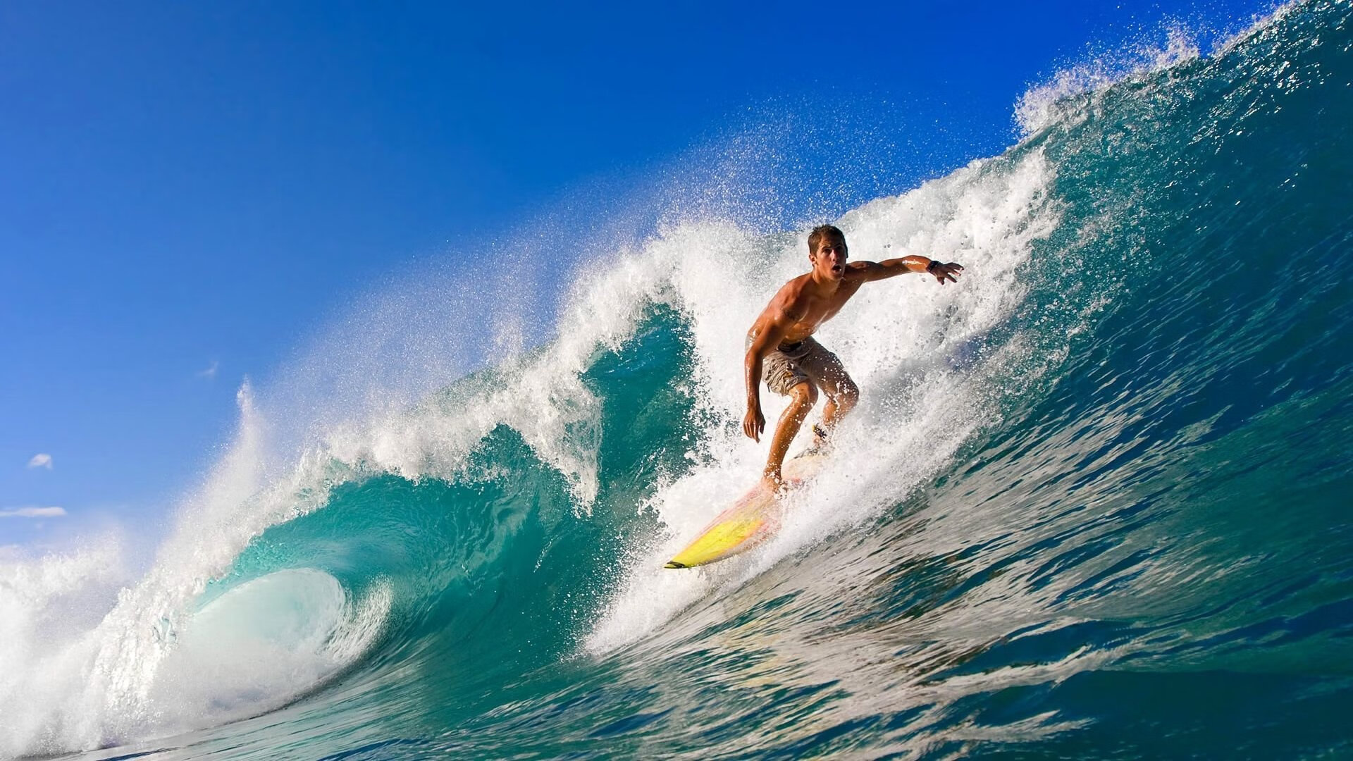 _美网颁奖典礼:小威廉姆斯首次获得冠军,终结多年的等待_,美网颁奖视频