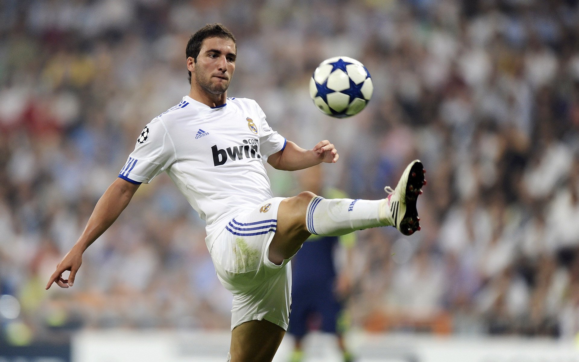 才情横溢，年轻球员赛场上大放异彩，年轻球员排名